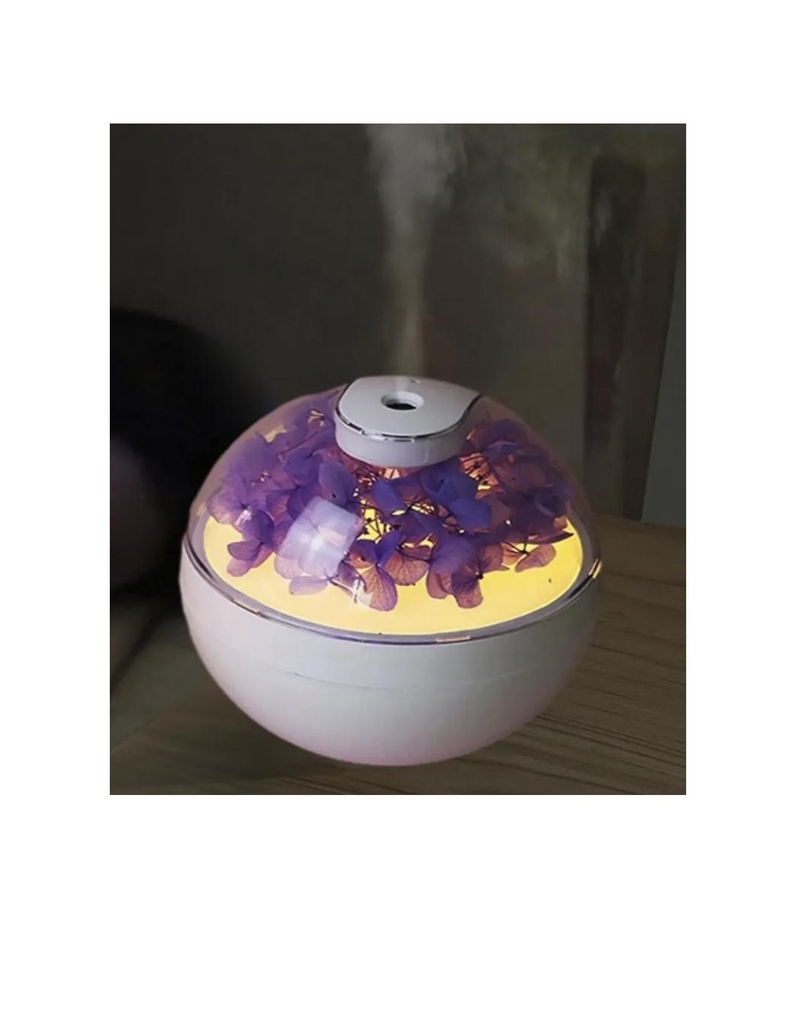 H006 - H006_HUMIDIFICADOR PETALOS- QRS-63.jpg